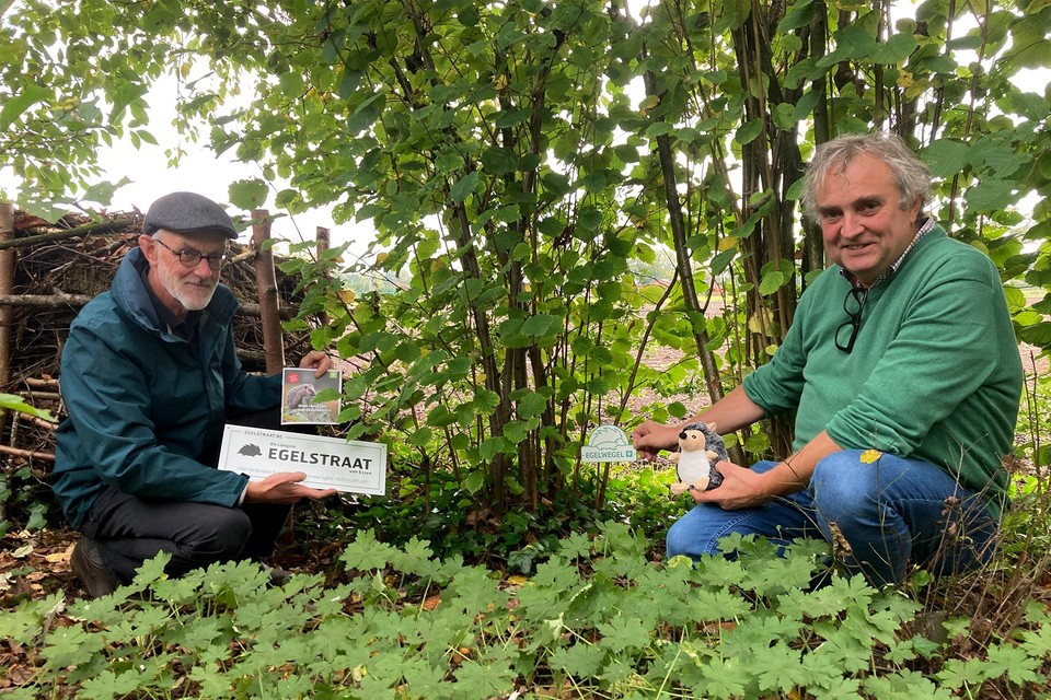 Joris Pinseel van Natuurpunt Noorderkempen en schepen van Milieu Helmut Jaspers (Vooruit) gaan samen op zoek naar de langste Egelstraat van Essen.