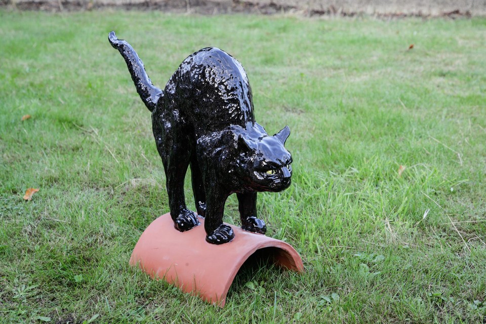 Angst of bedreigd? Geen van dat, de kat is figurant voor een leuk verhaal.