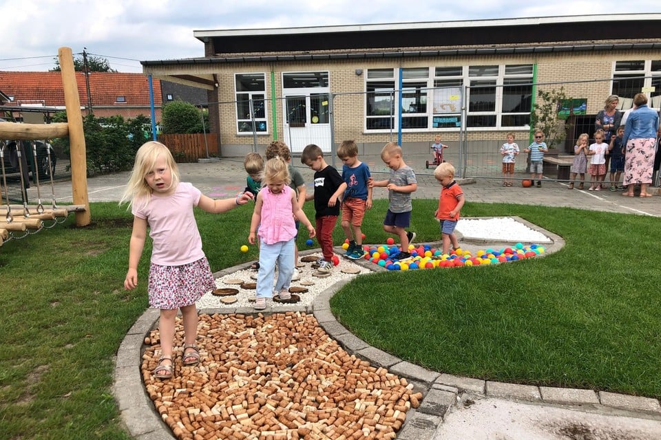 Enkele kleuters testen, met hun schoentjes nog aan, het gloednieuwe blotevoetenpad uit op de speelplaats van basisschool De Springplank in Lille.