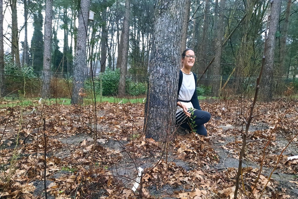 Lisa van Hoof in Wildertnis, haar hoogstpersoonlijke tiny forest.