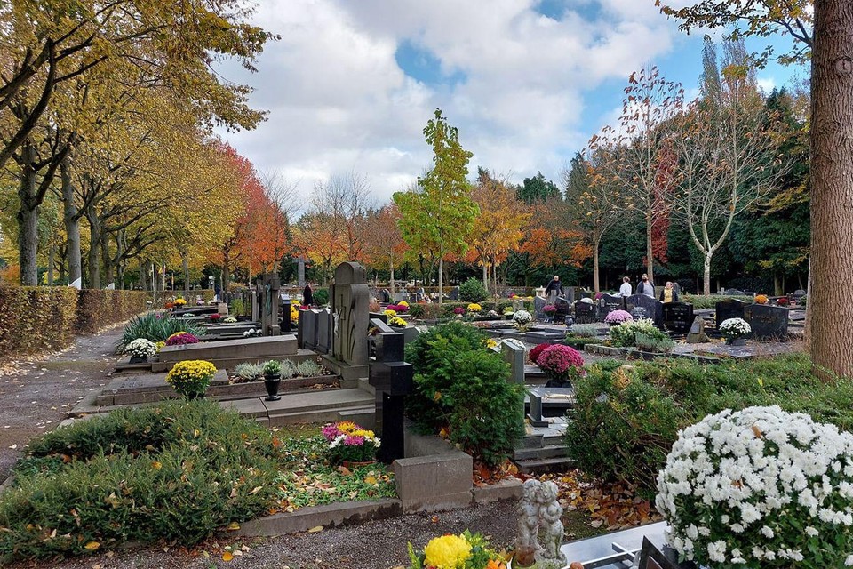 Muziek en poëzie op 1 november op de Mortselse begraafplaats. 