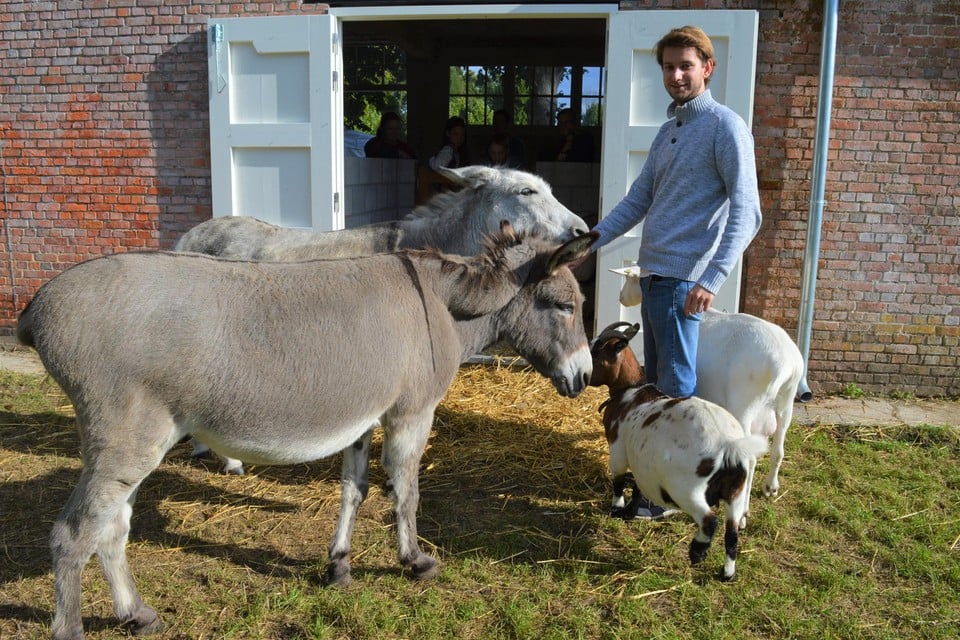 Jef De Feyter (24) werkt op Tracé 7 in Bethanië GGZ, waar hij de vaste dierenverzorger is. 