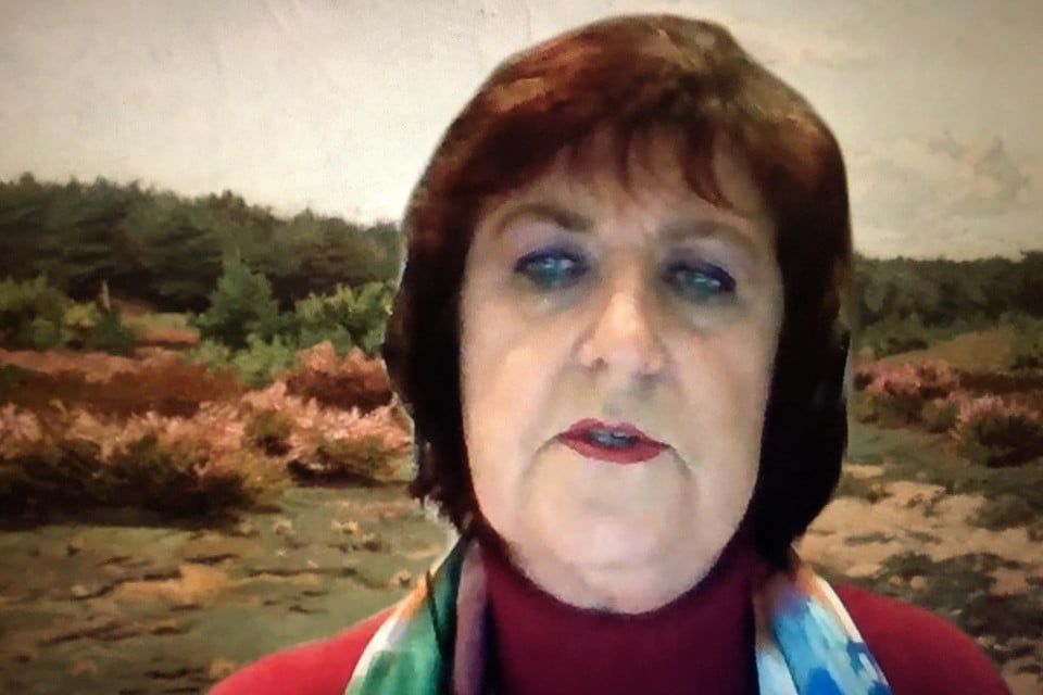 Burgemeester Marleen Peeters van Lille gebruikt meestal een schilderij van Heymans als achtergrond tijdens onlinevergaderingen.