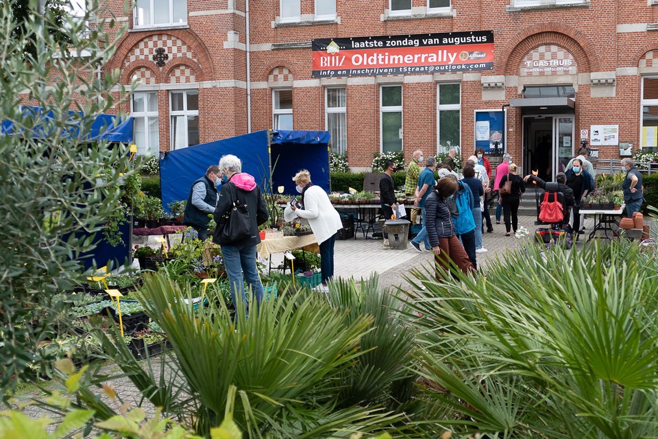 In en buiten ’t Gasthuis waren zaterdag exotische planten in al hun verscheidenheid.