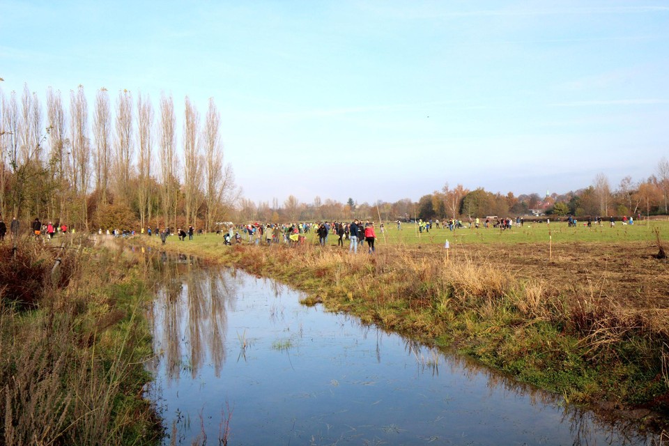 De Edegemse beek in zijn groene vallei.