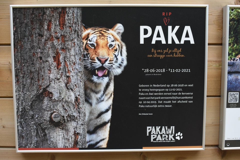 Paka overleed in februari. Aan het verblijf staat nu een gedenkbord. 