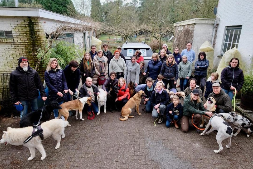 Katrin Geissler (vooraan hurkend met bruine hond) van hondenopvang Born To Play in Vosselaar krijgt veel steun van klanten en sympathisanten.