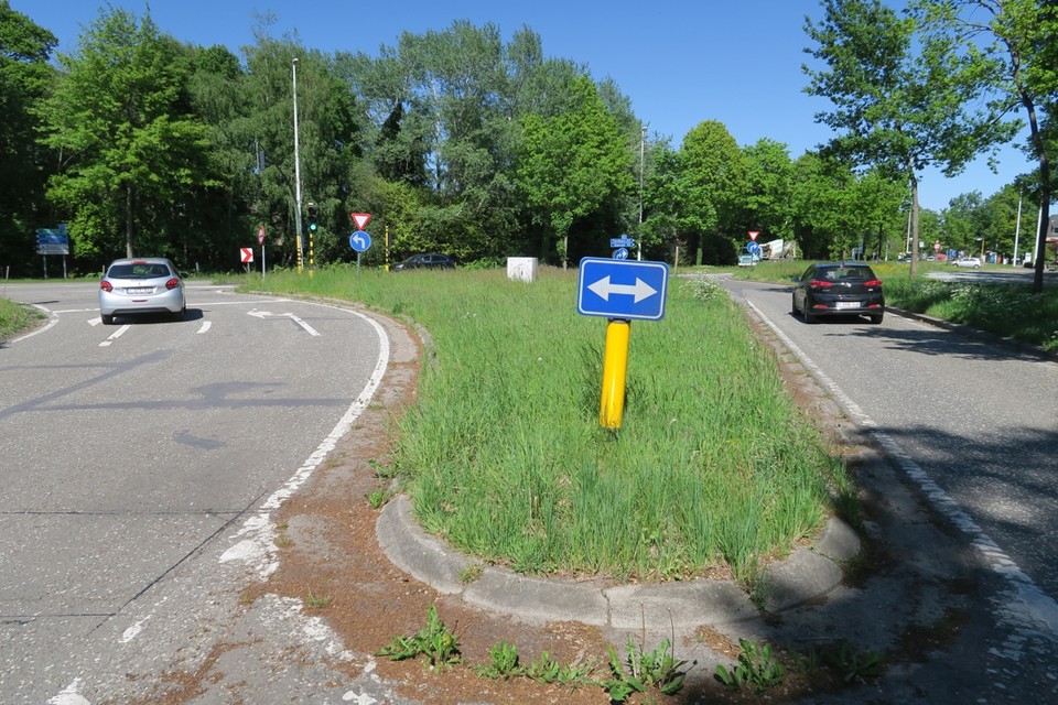 Dit kruispunt van de Houtlaan met de Turnhoutsebaan, vlakbij restaurant Ago’s, wordt heraangelegd. Het zal hierdoor wel tot eind augustus buiten gebruik zijn. 