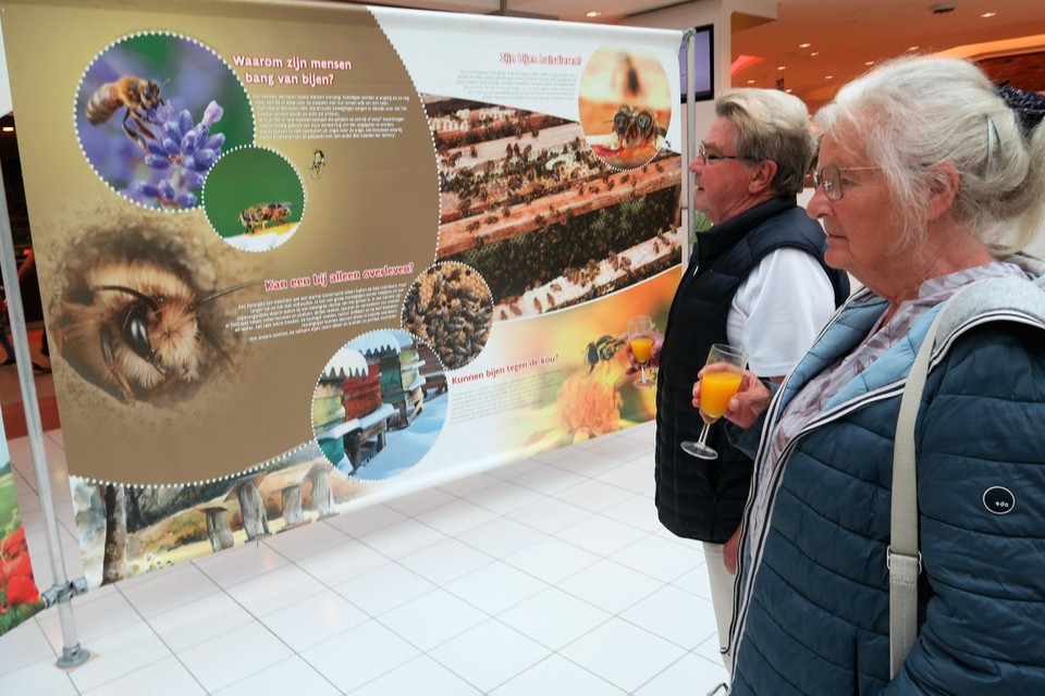 De expo over bijen hoe we het deze nuttige diertjes beter naar hun zin kunnen maken, loopt nog heel de maand mei in Wijnegem.