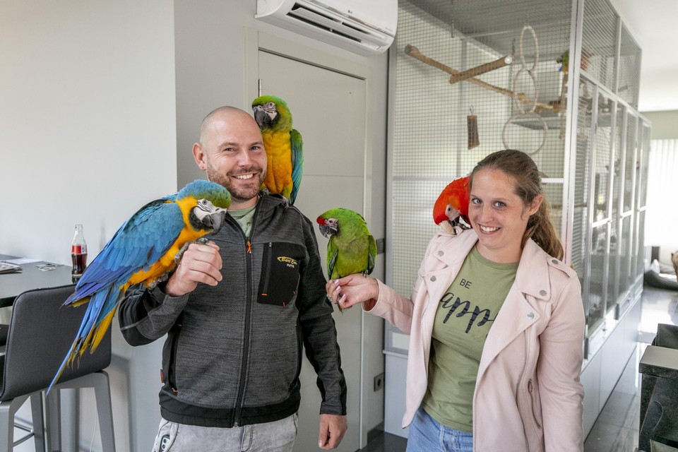 Bart en zijn vrouw Naomi met hun papegaaien.