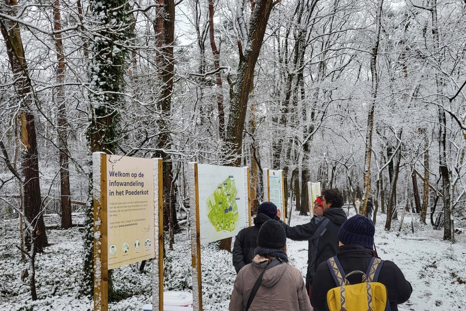 Leden van Greenpeace en Bos+ Vlaanderen bezoeken woensdagochtend het idyllisch ogende Poederkot in de sneeuw. Hier houden ze halt bij de infopanelen die de projectontwikkelaar zelf plaatste.