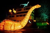 thumbnail: In Zoo Planckendael brengen 78 dino’s licht in de duisternis tijdens de jaarovergang.
