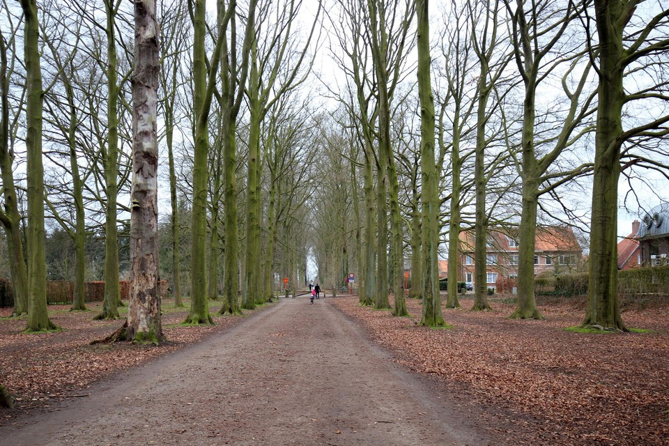 De bomendreef in het deel van de familie Moretus, achter het poortje, wordt mogelijk vervangen. De bomen vooraan, van de familie Reynders, blijven behouden.