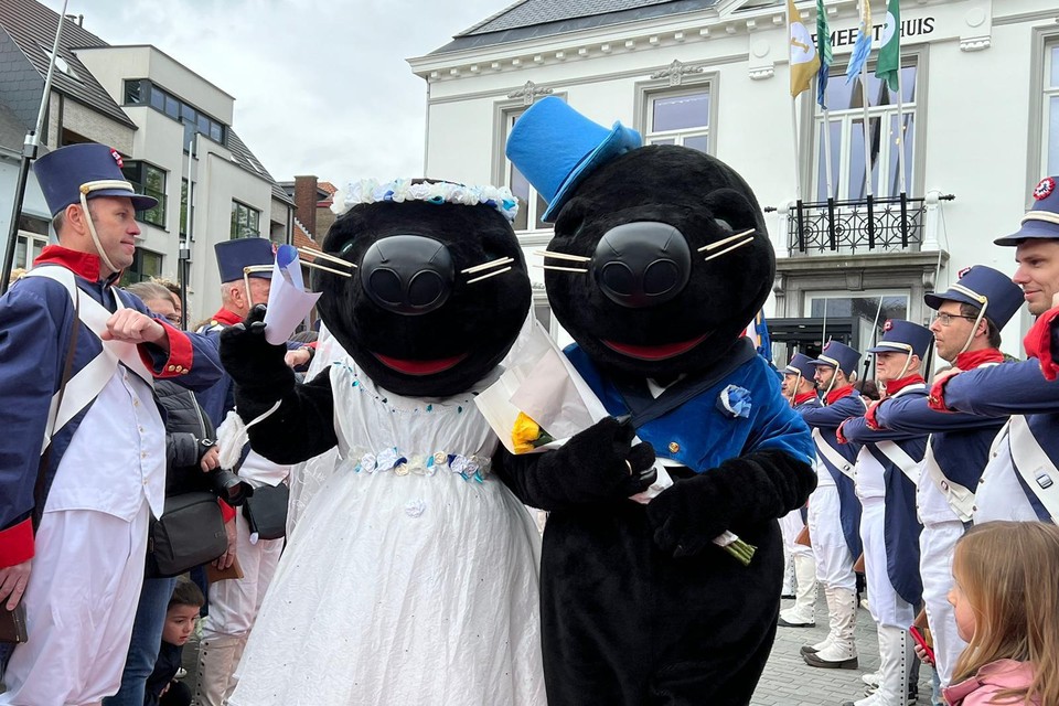 De medewerkers van Pimpernieuw zorgden voor een feestelijke trouwoutfit van de Molse mascottes.