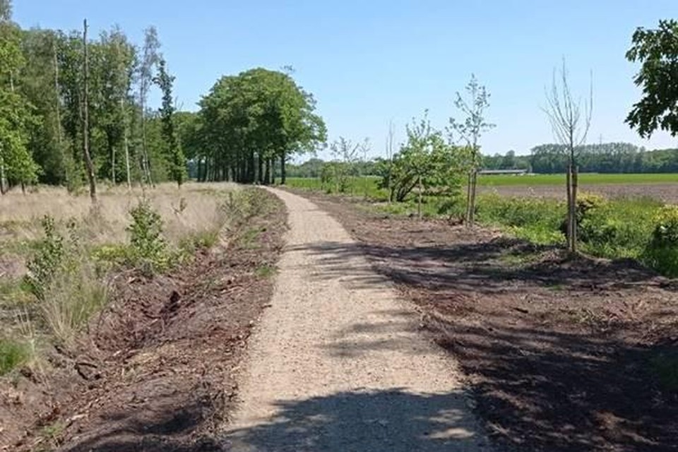 Het pad langs de Hooibeek.