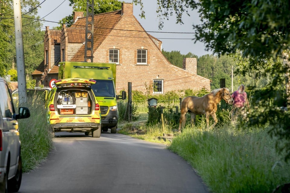 Toen de hulpdiensten in Berlaar arriveerden, brachten omstaanders het uitgebroken paard terug naar de weide.
