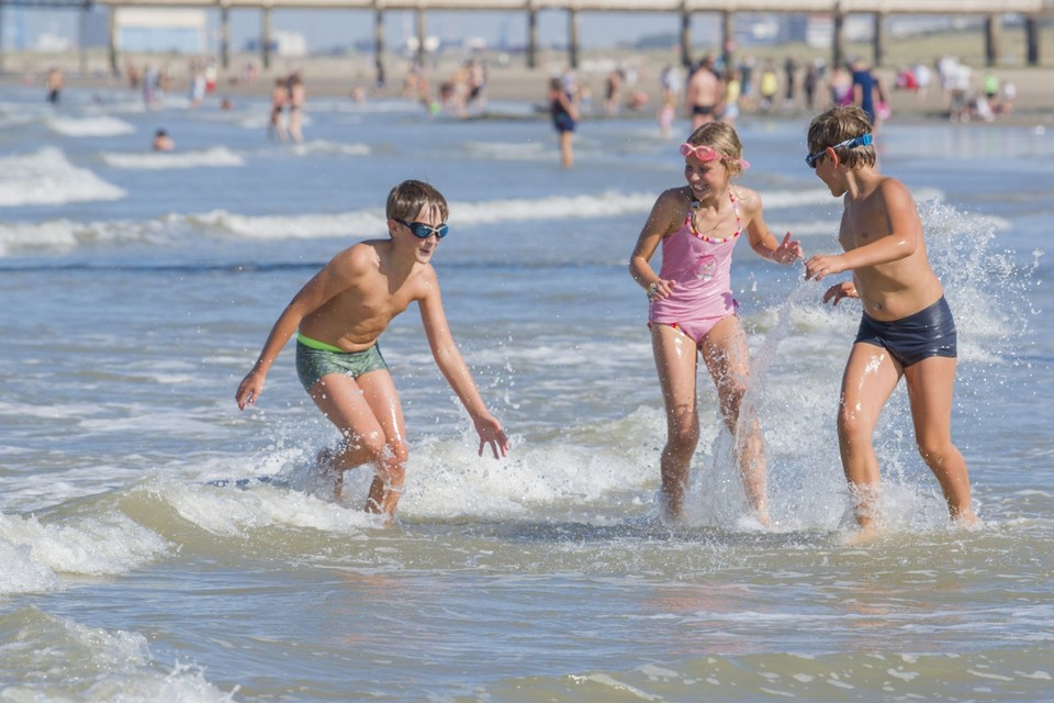 In Blankenberge zoeken enkele waterratten verkoeling in zee. 