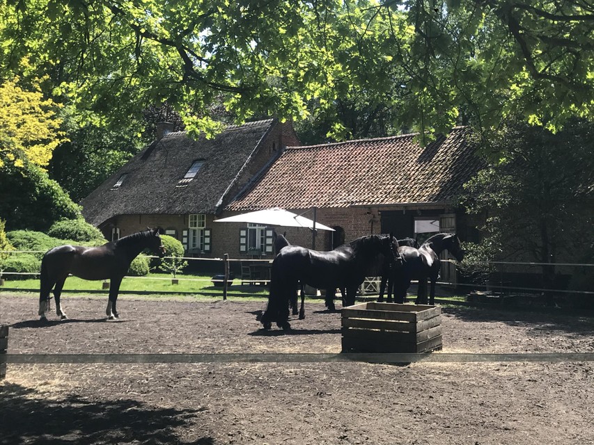 De Swaenhoeve.
