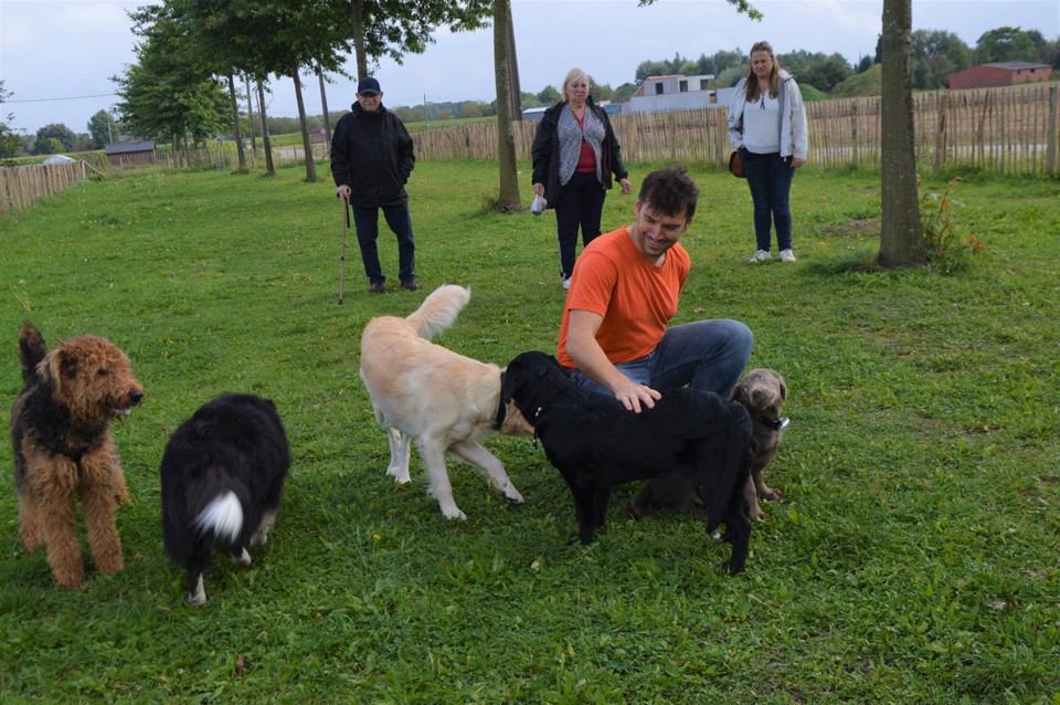 Alle honden gedroegen zich prima.