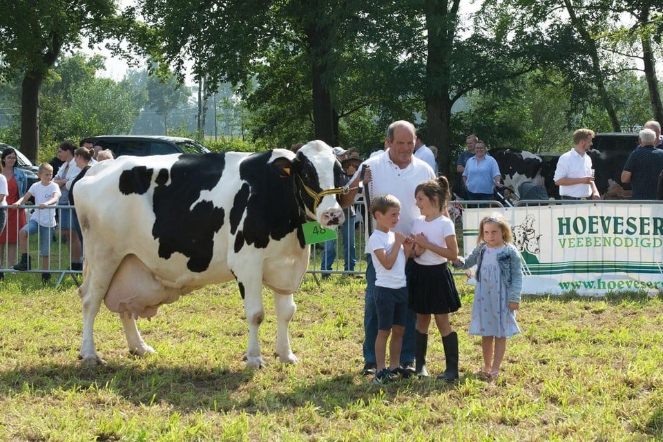 Landbouwer Marcel Heylen viel met Keur Rivenhoe vorig jaar op de veeprijskamp Oosterkempen nog in de prijzen, tot vreugde van de kleinkinderen. 