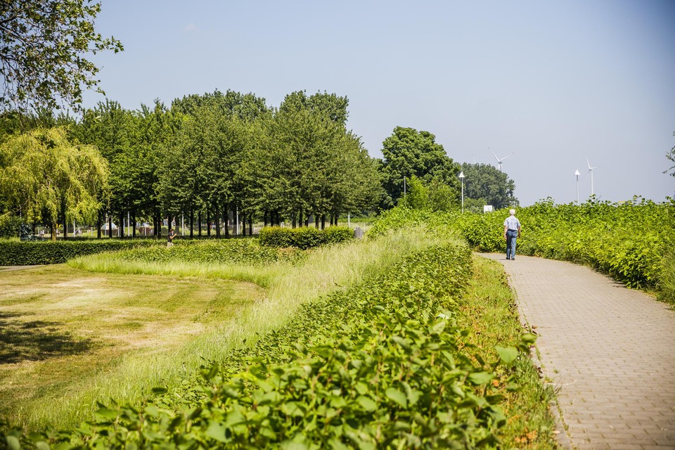 Linkeroever aan de Schelde