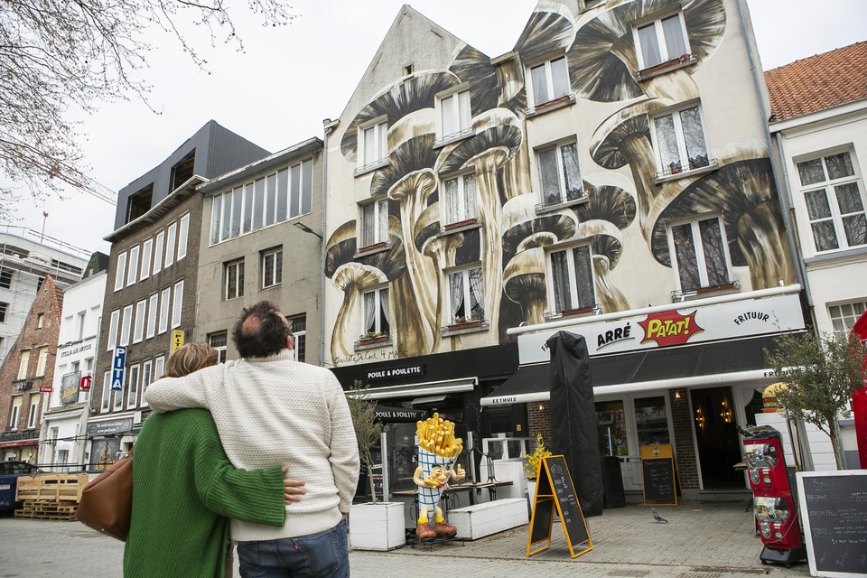 De Sint-Jansvliet heeft er met een enorme gevelschildering een nieuwe attractie bij.