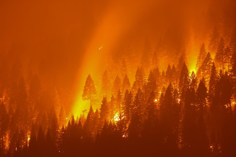 Bosbranden in de VS. 