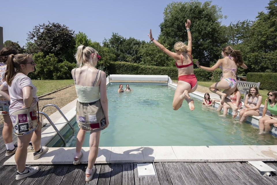 Chiro Ramsel neemt een verfrissende duik in het zwembad van buren Ludo en Liliane. 