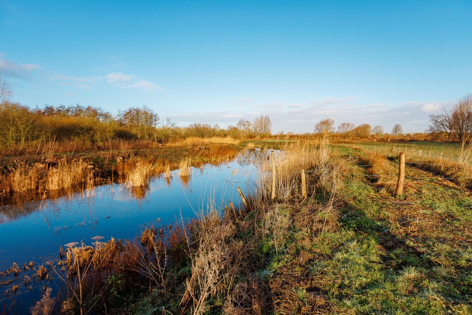 Natte natuur zoals de Battelaer werkt als een spons.