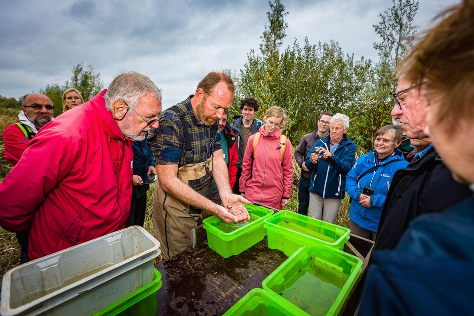 Onderzoeker Jeroen Van Wichelen toont de vissen die gevangen werden.