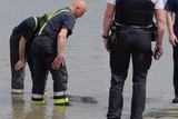 thumbnail: null