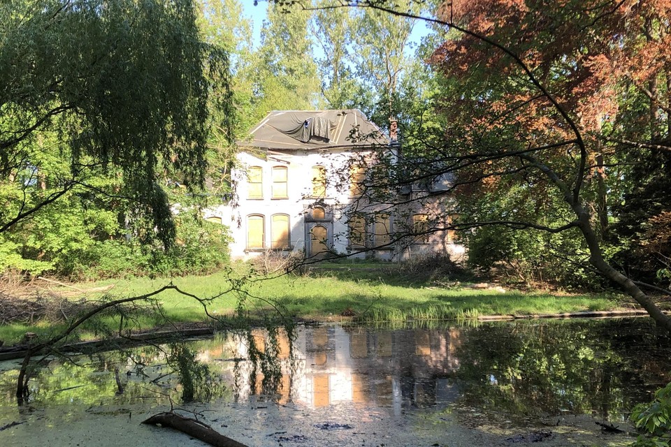 Het brandhout is afkomstig van het park rond Het Hof in Vosselaar.