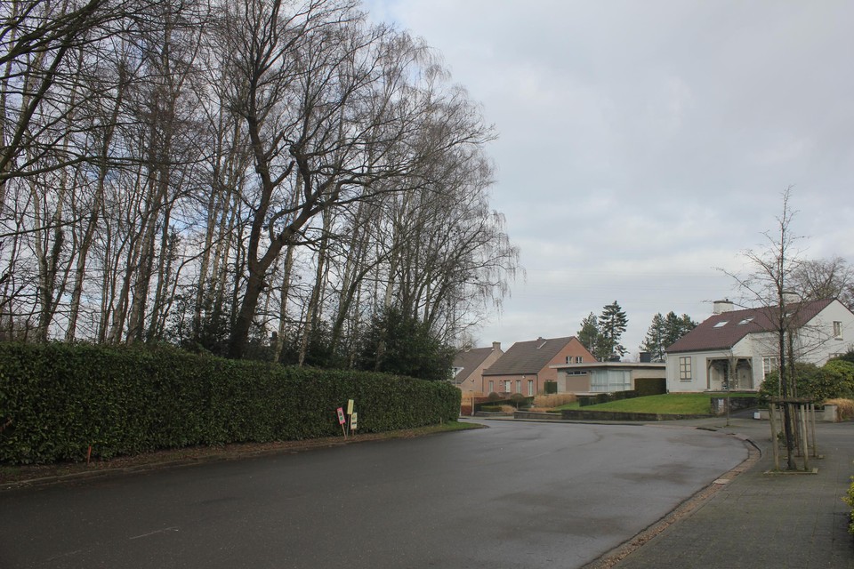 Volgens de plannen komt in het stukje bos links plaats voor vier huizen.
