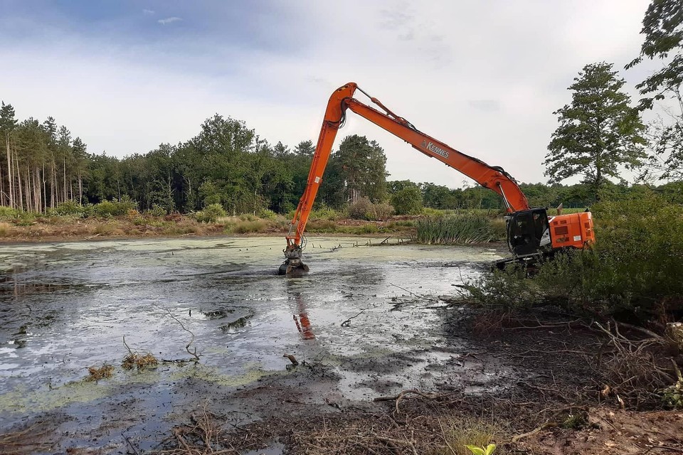 Het baggerwerk van de vijvers is begonnen nadat vissen en amfibieën werden overgezet.