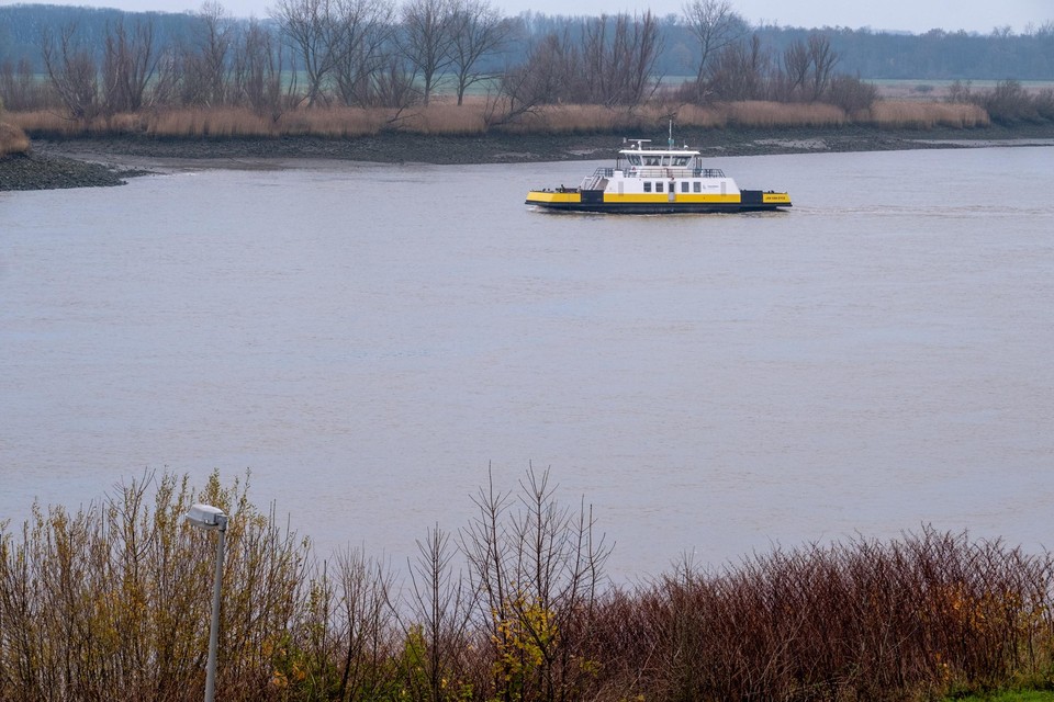 De Schelde in Hemiksem.