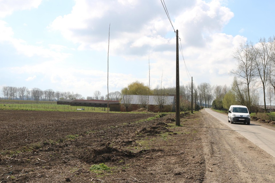De cannabisplantage zat verstopt in één van deze loodsen in de polder in Vrasene.