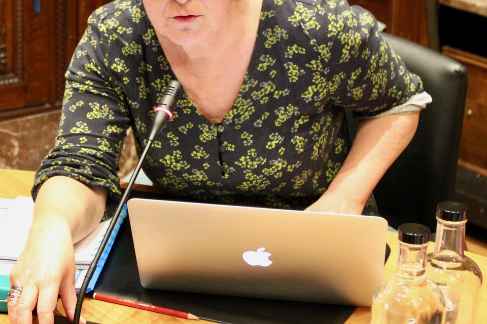 Schepen Kris Swaegers tijdens de Boechoutse gemeenteraad.