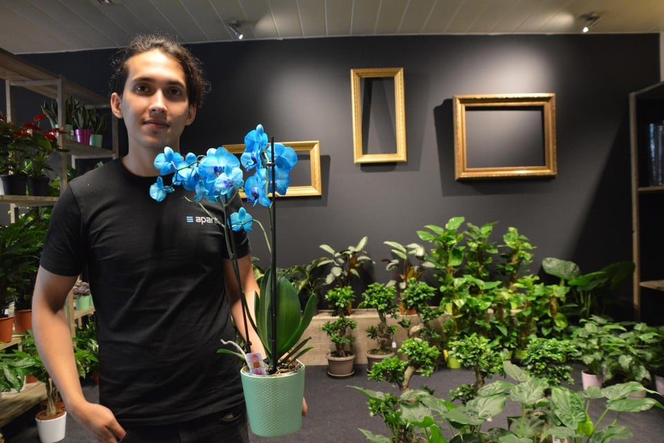 Ramin Hassani heeft groene vingers, en nu ook een eigen bloemen- en plantenzaak.
