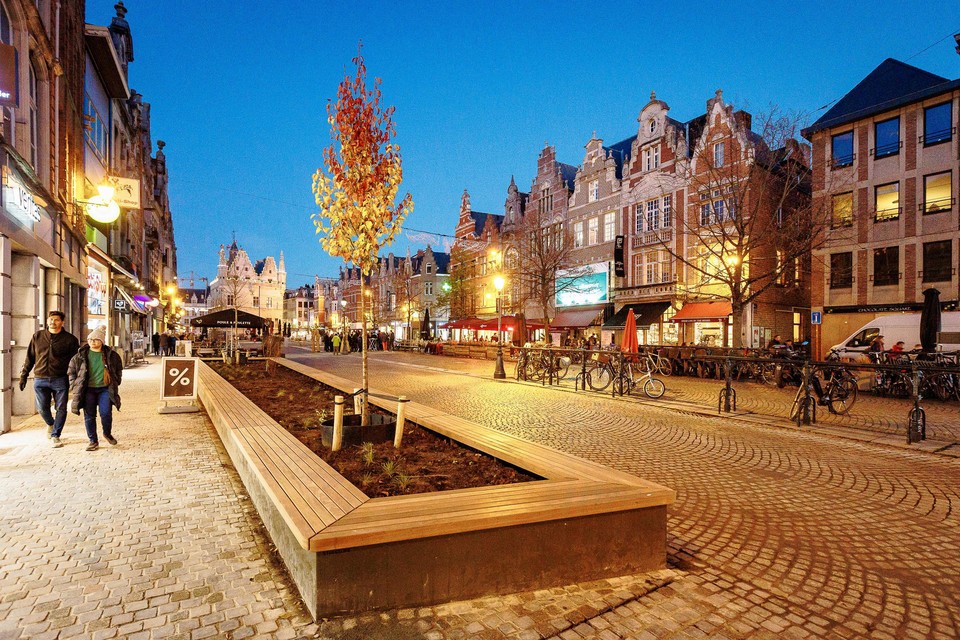 Gauwdieven maakten een slachtoffer op de IJzerenleen.