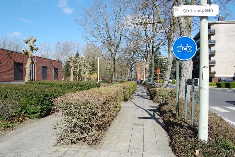 Het fietspad wordt volledig heraangelegd, met extra aandacht voor de bomen.