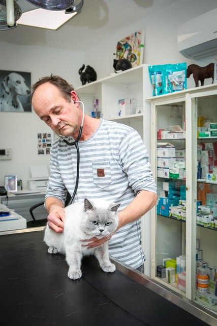 Dierenarts Pieter Clevers.