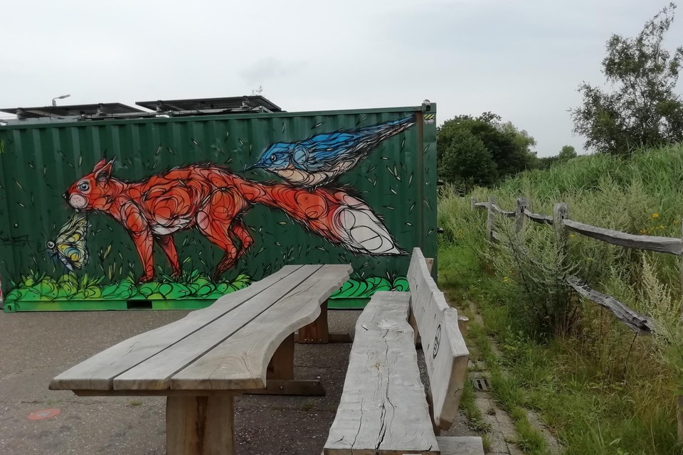 De container van het jarige Natuurpunt is door de schildering van Dzia een ware blikvanger.