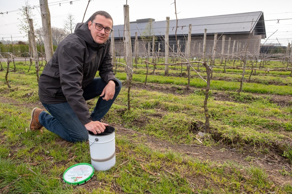 “April is elk jaar weer een zeer kwetsbare periode. Niet alleen voor de fruitteelt, maar ook voor de Belgische wijnbouwers”, zegt Pieter Raeymaekers.