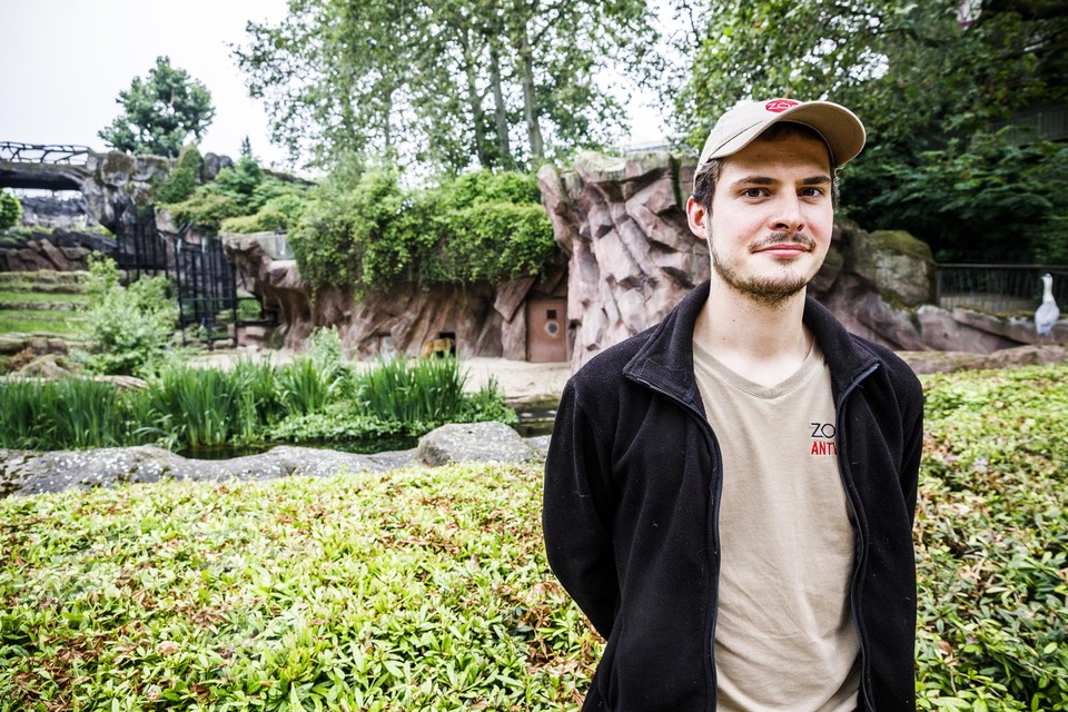 Roofdierenverzorger Daan is superblij met de welpjes van Tasa. Ook al blijven ze voorlopig in de nestbox. 