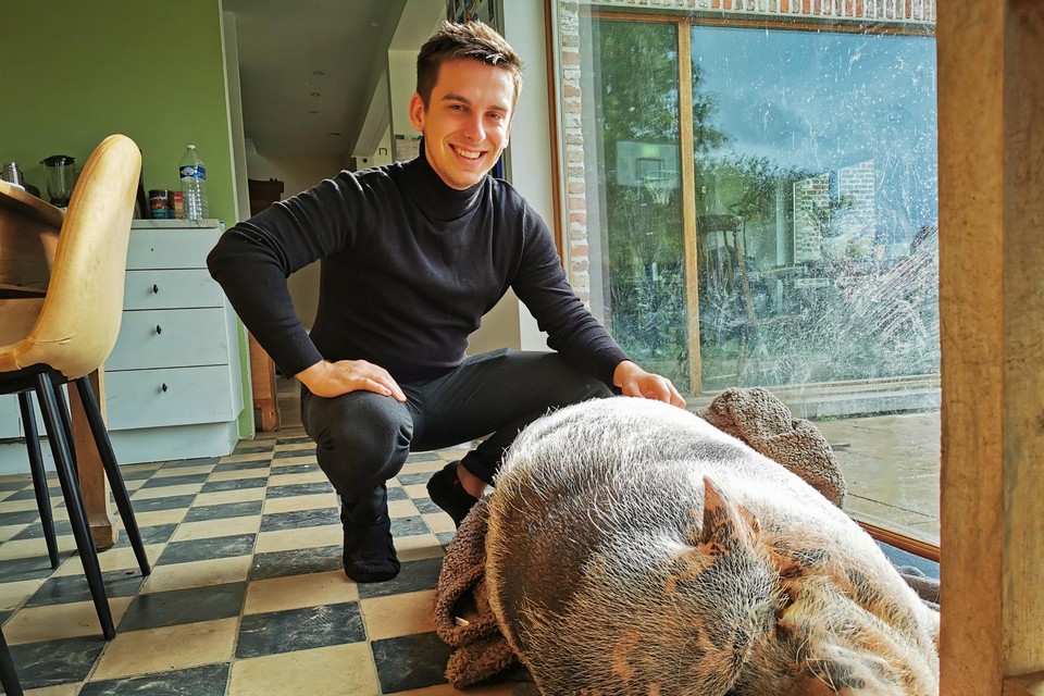 Ilya en Maybellie komen terug op krachten na hun hachelijk avontuur.