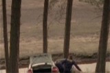thumbnail: null