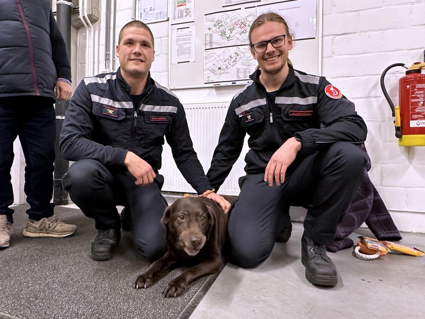 Brandweerman Dean Stylemans en stagiair-brandweerman Hans Huybrechts met de labrador die ze gered hebben.