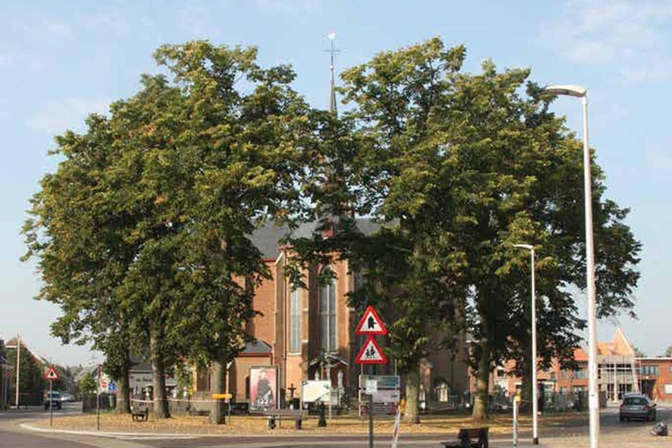Bomen in dorpskern moeten duurzamer worden.