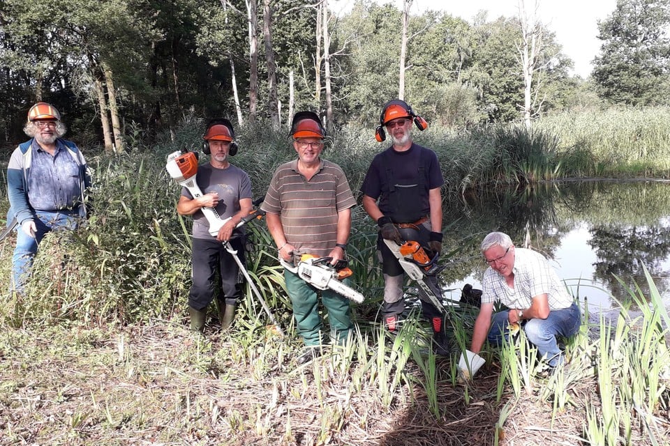 Natuurpunt-vrijwilligers Dirk Hautekiet, Peter Block, Dré Arnouts, Rudi Bosschaerts en Herman De Boeck proberen de kamsalamander te redden in Kooldries.