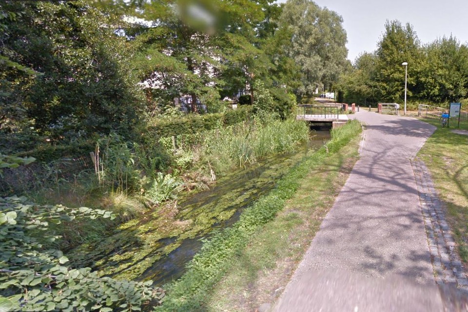 Op de Wandelweg naast de Molse Nete werd een vrouw het slachtoffer van een brutale handtasdiefstal.